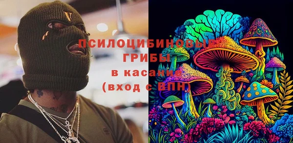 стаф Алексин