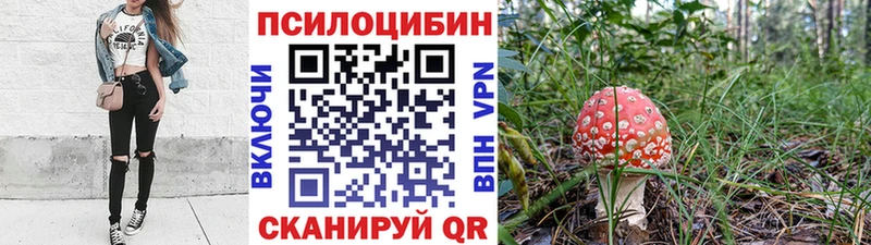 Галлюциногенные грибы прущие грибы  Всеволожск 
